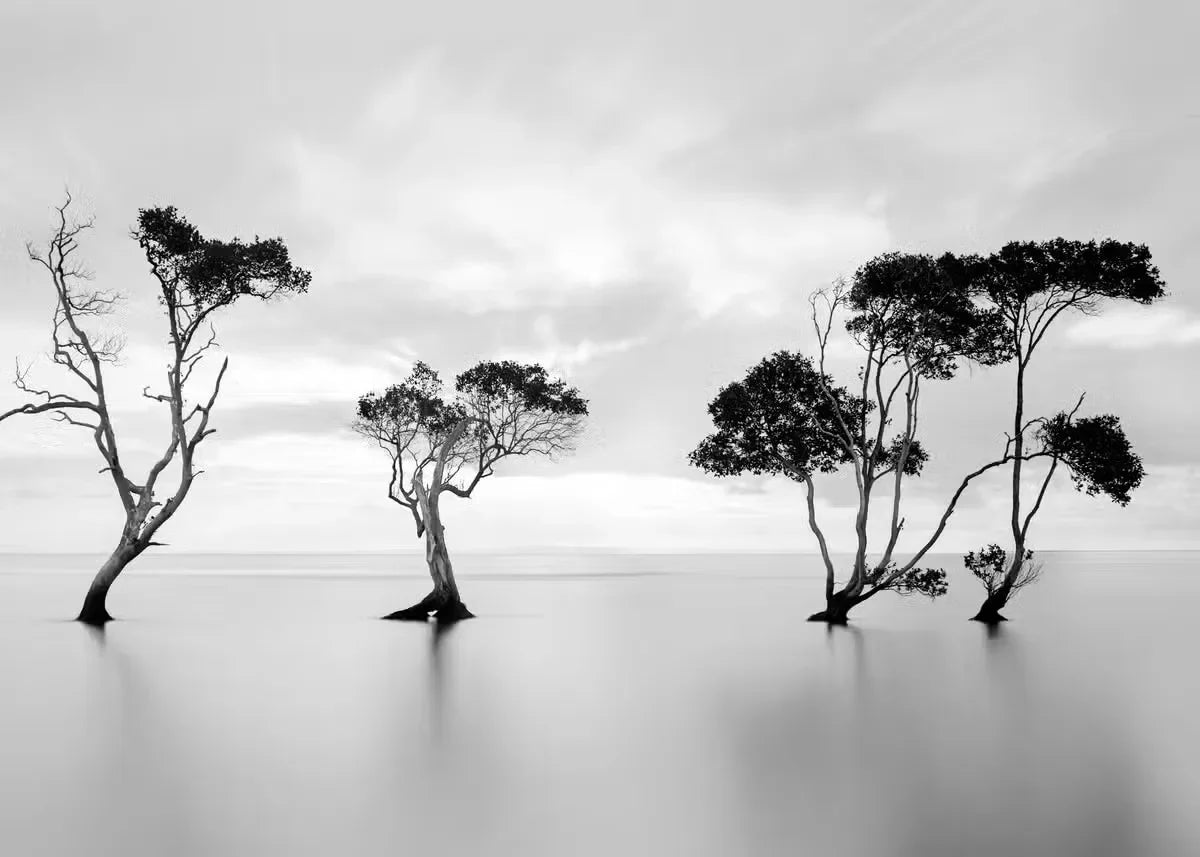 Modern Black  White Landscape Canvas Prints  Mountain Lake Scenery Wall Art for Living Room Decor