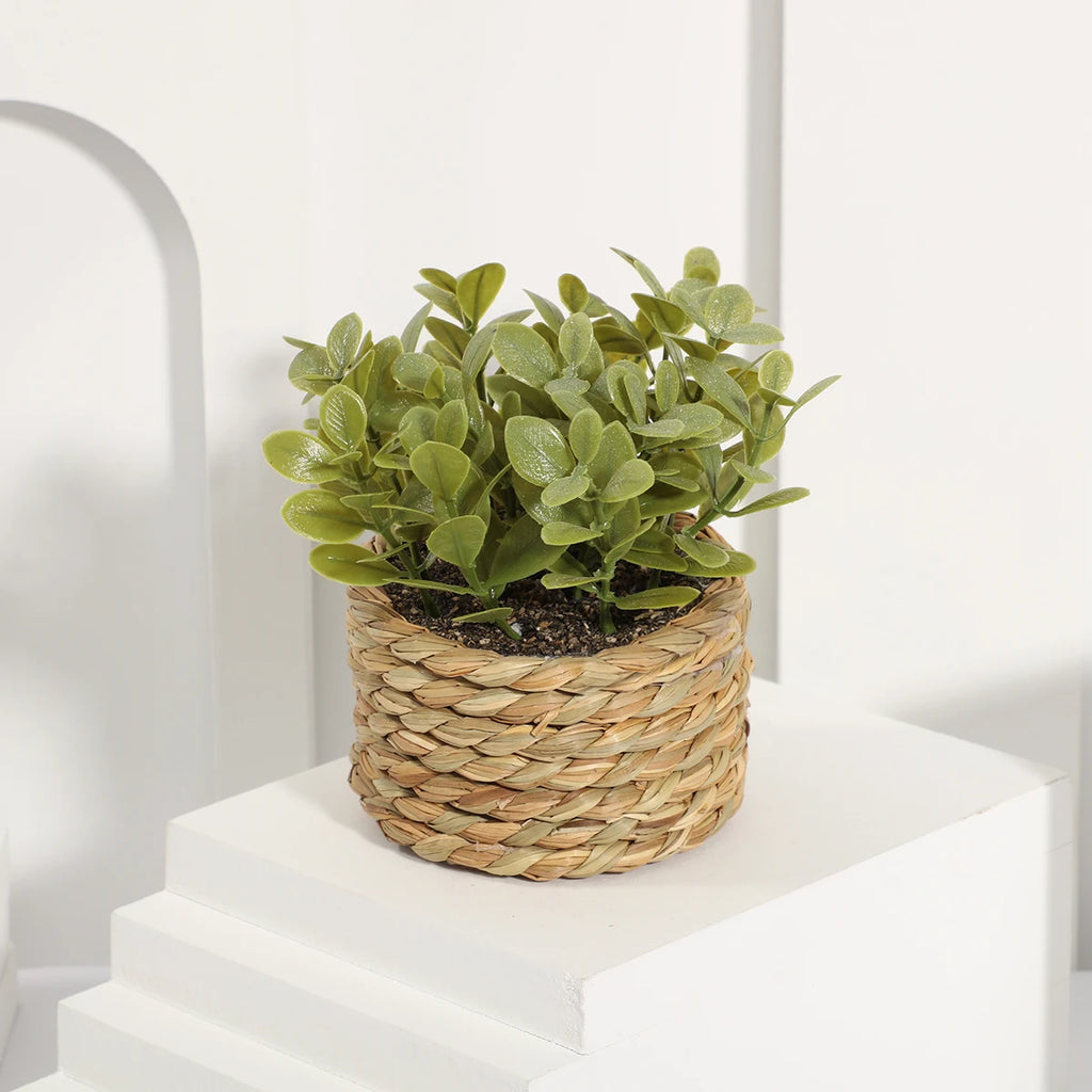 XIYA FLOWER Green Artificial Plants Eucalyptus Grass Woven Small Potted Plants Grass Mound 11cm PE Material Home Decoration