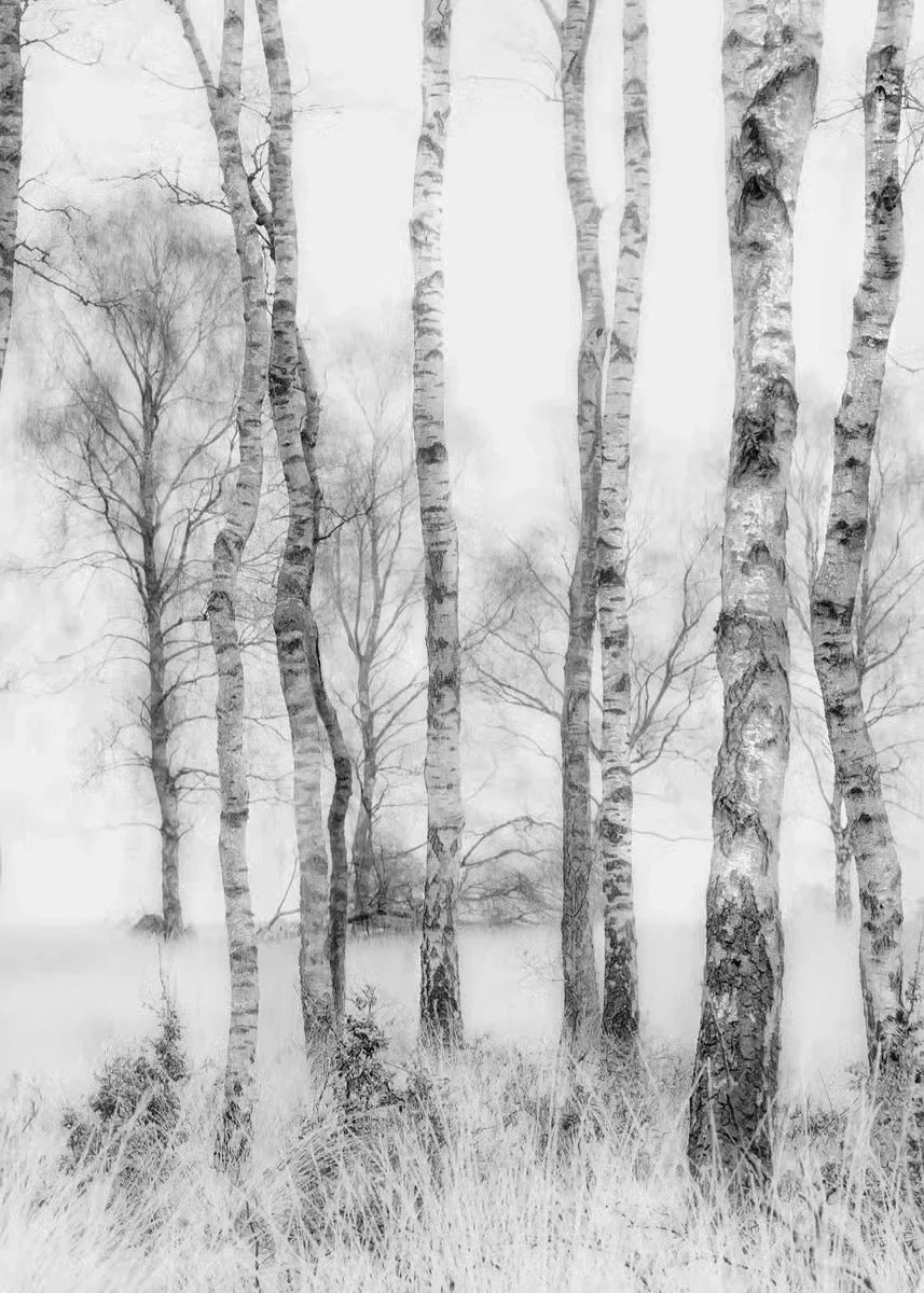 Modern Black  White Landscape Canvas Prints  Mountain Lake Scenery Wall Art for Living Room Decor